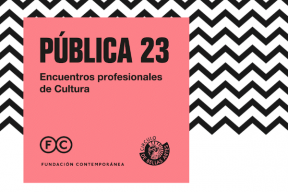 PÚBLICA 23: Encuentros profesionales de Cultura