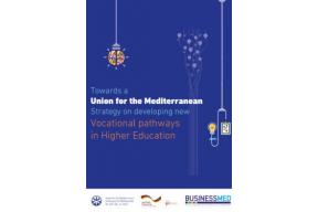 Mediterranean Strategy on developing new Vocational pathways 