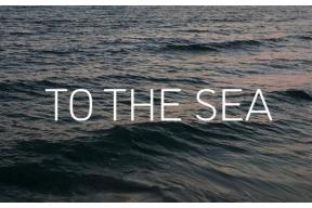Open Call to Exhibition: To The Sea 2023