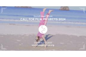 A one-year program for the development of an audiovisual project