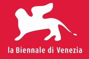 Venice Biennale  Revealed: Behind the Scenes Experience