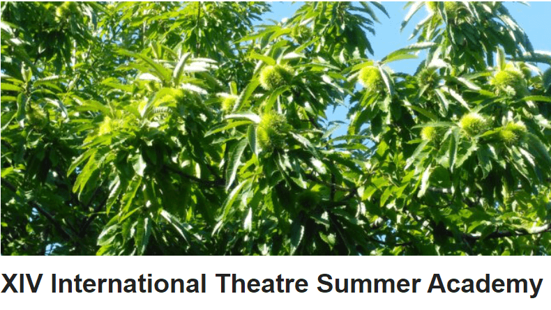 XIV International Theatre Summer Academy in Italy - July 2024