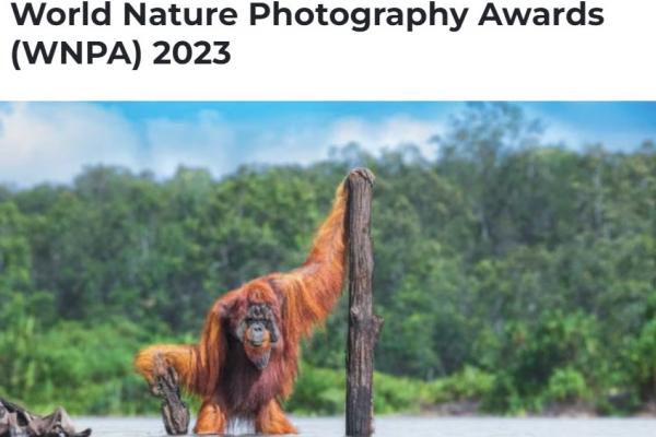 World Nature Photography Awards (WNPA) 2023