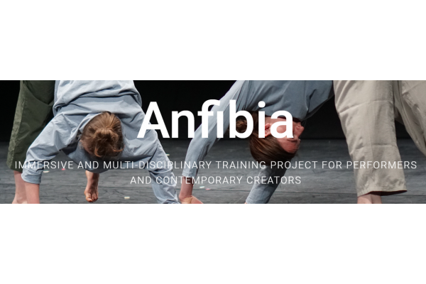 Auditions ANFIBIA – Immersive and multi-disciplinary training project
